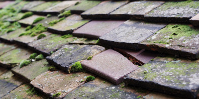 Clive Vale roof repair costs